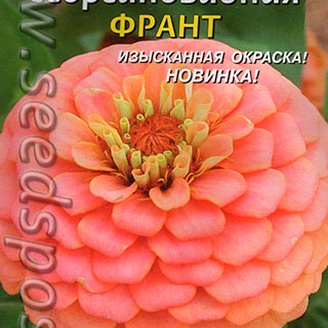 Цинния георгиновидная Франт, 0,3 г