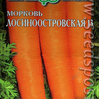 Морковь Лосиноостровская 13, 2г