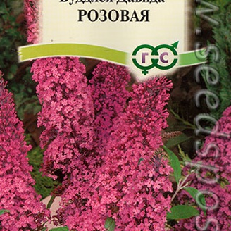 Буддлея Давида видовая Розовая, 0,1 г