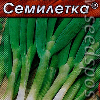 Лук батун Семилетка®, 1 г