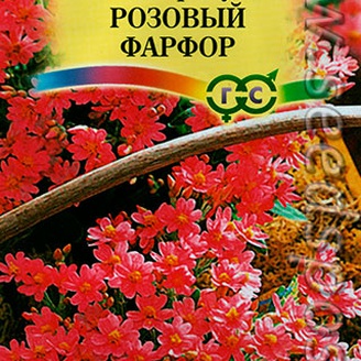 Гелихризум Розовый фарфор,  0,1 г