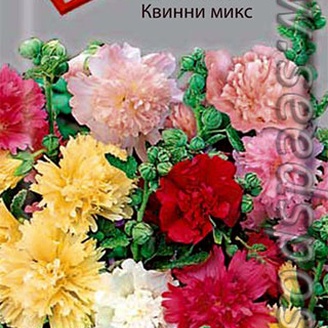 Шток-роза Квинни Микс, 0,1 г