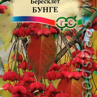 Бересклет Бунге, 0,2 г