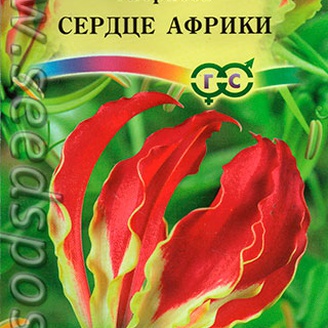 Глориоза Сердце Африки, 3 шт.