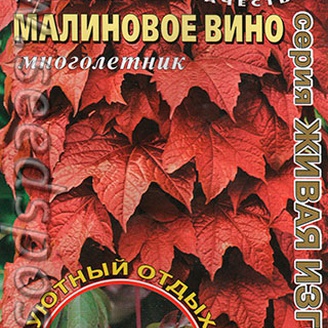 Виноград девичий Малиновое вино, 10 шт.