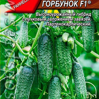 Огурец Конек-Горбунок F1 ®, 7 шт.