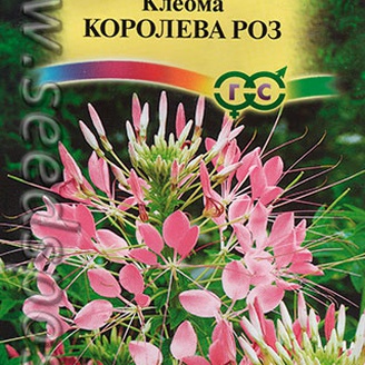 Клеома Королева роз, 0,3 г