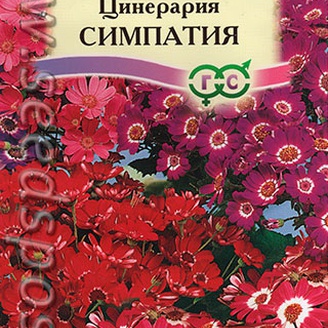 Цинерария гибридная Симпатия, Смесь, 10 шт.