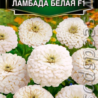 Цинния Ламбада Белая F1, 0,2 г