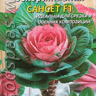 Капуста декоративная Сансет, 7 шт.