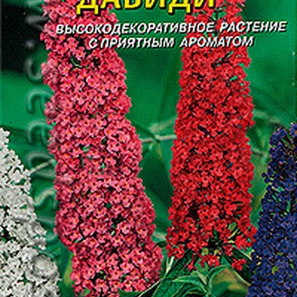 Буддлея Давиди, Смесь, 10 драже