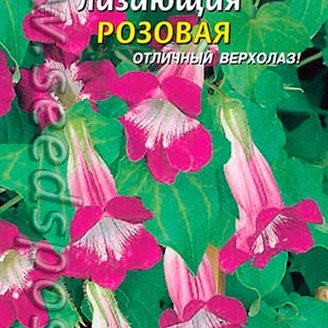 Азарина лазающая Розовая, 10 шт.