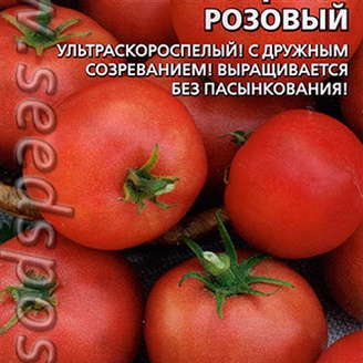 Томат непасынкующийся розовый. Томат Непасынкующийся розовый (0.1г) СЕДЕК. Семена томат Непасынкующийся розовый. Томат Непасынкующийся розовый ультраскороспелый. Томат Непасынкующийся розовый (евро, 0,1, 1656) *10 СЕДЕК.