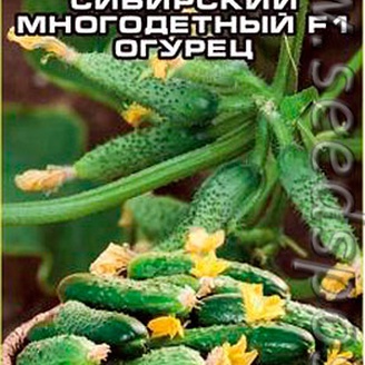 Огурец Сибирский Многодетный F1, 7 шт.