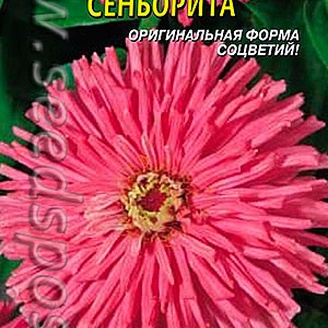 Цинния супер кактус Сеньорита, 0,3 г