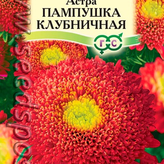 Астра Пампушка Клубничная, 0,3 г