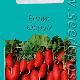 Редис Форум, 1 г