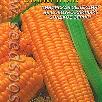 Кукуруза сахарная Станичник, 6 шт.