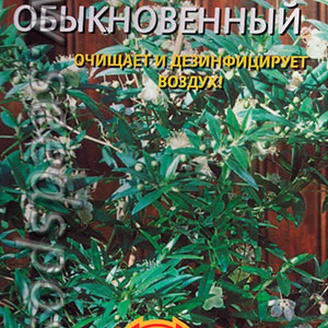 Мирт Обыкновенный, 0,1 г