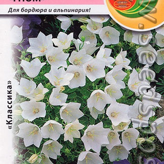 Колокольчик карпатский Гном, Смесь, 0,1 г