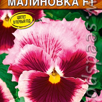 Виола Малиновка F1, 7 шт. Farao