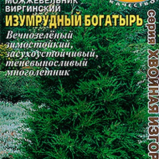 Можжевельник виргинский Изумрудный богатырь, 0,07 г