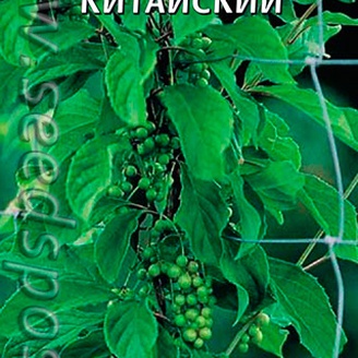 Лимонник Китайский, 0,1 г
