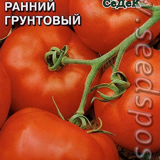 Томат Ранний Грунтовый, 0,2 г