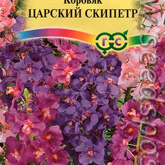 Коровяк (вербаскум) Царский скипетр, Смесь, 0,1 г