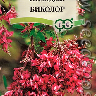 Леспедеца двуцветная Биколор, 5 шт.