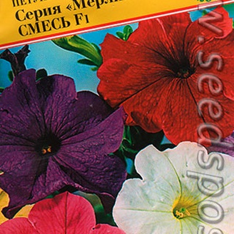 Петуния мультифлора Мерлин, Смесь F1, 10 драже