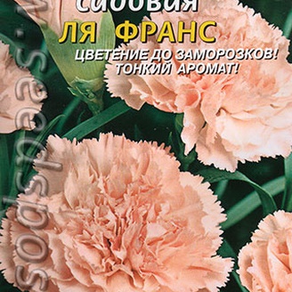 Гвоздика садовая Ля Франс, 0,1 г