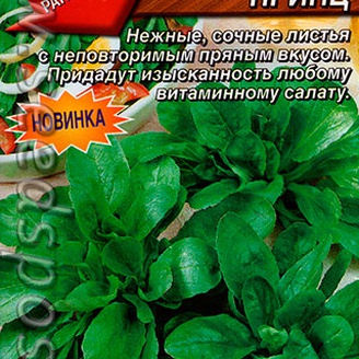 Салат полевой Маленький принц, 0,5 г