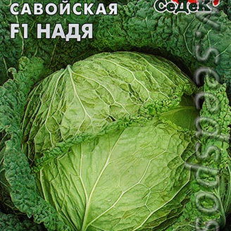 Капуста савойская Надя F1, 1 г