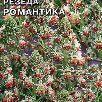 Резеда душистая Романтика, 1 г