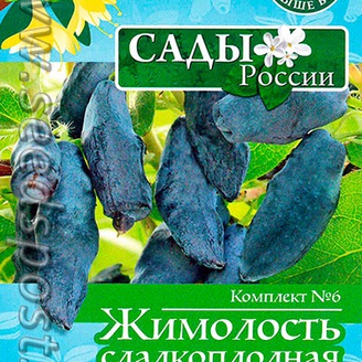 Комплект 6 Жимолость сладкоплодная (Пелагея, Конда, Глобус), 10+10+10 шт.
