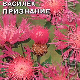 Василек луговой Признание, 0,1 г