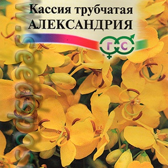 Кассия трубчатая Александрия, 0,6 г