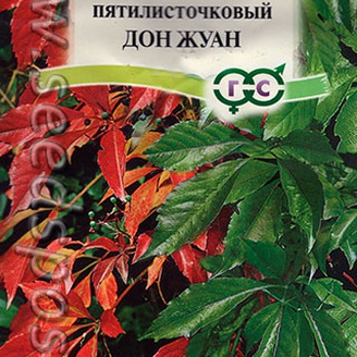 Виноград девичий пятилисточковый  Дон Жуан, 5 шт.