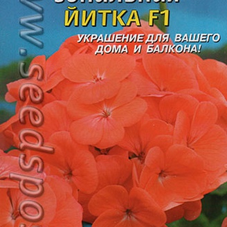 Пеларгония зональная Йитка F1, 4 шт.