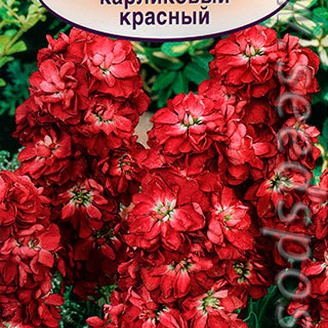 Левкой карликовый Дюймовочка Красный, 0,1 г