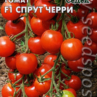 Томат Спрут Черри F1 (Томатное или Помидорное дерево), 0,03 г