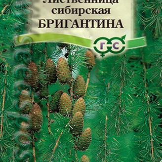 Лиственница сибирская Бригантина, 0,2 г