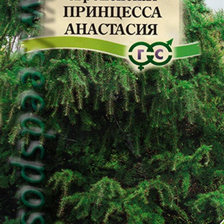 Лиственница европейская Принцесса Анастасия, 0,1 г
