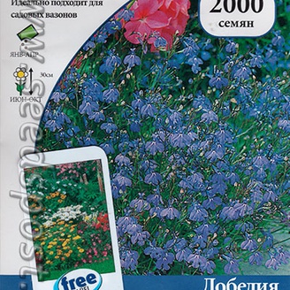 Лобелия вьющаяся Сапфир, 2000 шт.