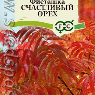 Фисташка китайская Счастливый орех, 1 г