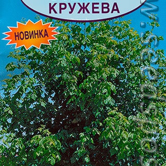 Клен ясенелистный Осенние кружева, 0,5 г