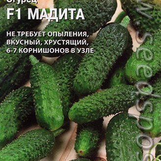 Огурец Мадита F1, 5 шт. (Seminis)