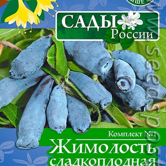 Комплект 1 Жимолость сладкоплодная (Синяя звезда, Голубая тайга, Незабудка), 10+10+10 шт.