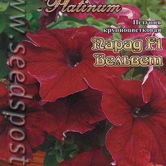 Петуния крупноцветковая Парад Вельвет F1, 15 шт. Platinum